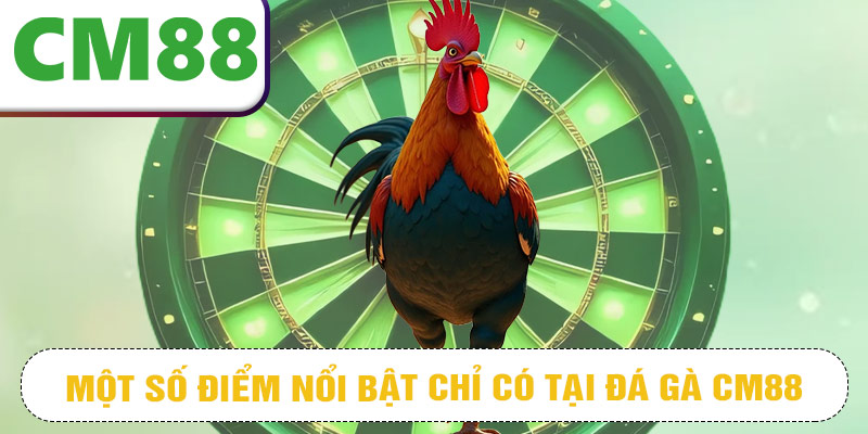 Một số điểm nổi bật chỉ có tại đá gà CM88