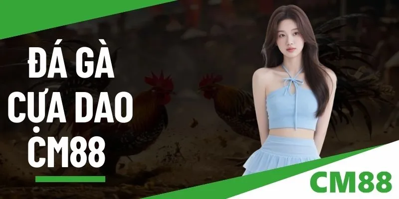 Đá gà cựa dao – Trải nghiệm thú vị và hấp dẫn cùng CM88